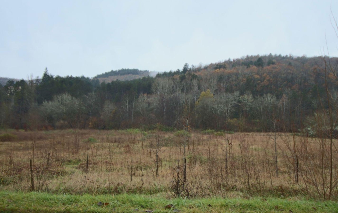 Annonces QUERCYBLANC : Terrain | GREZELS (46700) | 0 m2 | 26 500 &euro; 